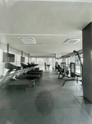 ezgif.com-animated-gif-maker (1)3